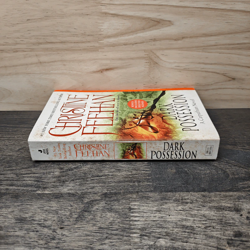 Dark Possession - Christine Feehan รูปที่ 2