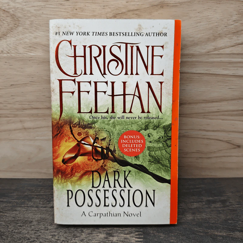 Dark Possession - Christine Feehan รูปที่ 1