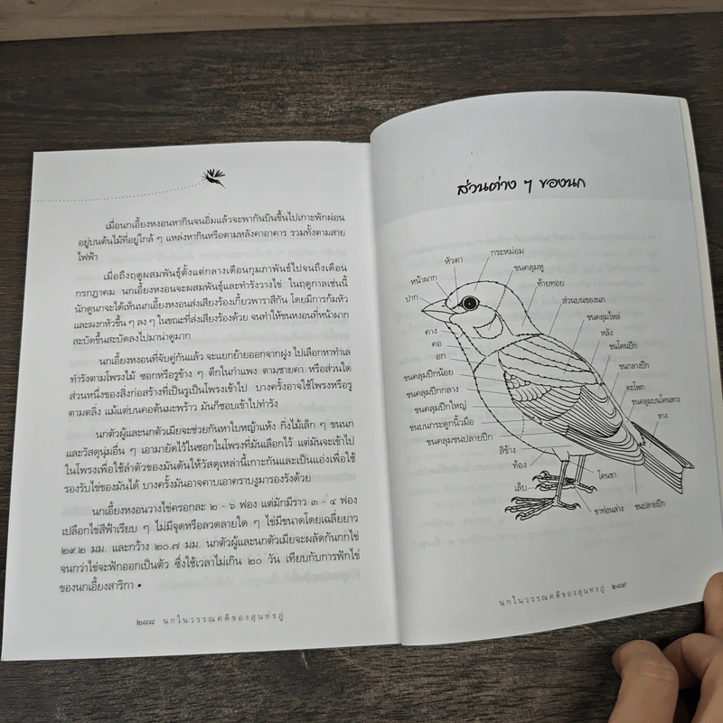 นกในวรรณคดีของสุนทรภู่ - สุธี ศุภรัฐวิกร รูปที่ 9