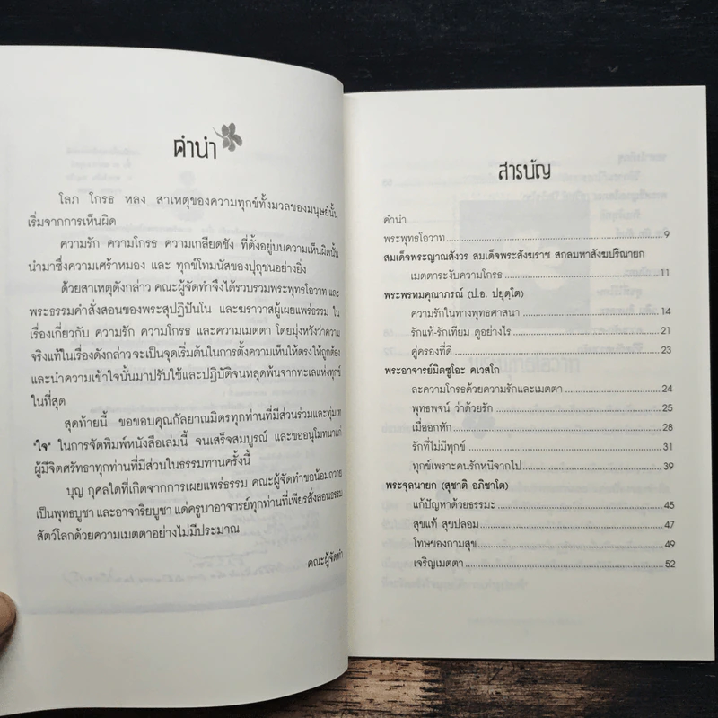 ความจริง เกี่ยวกับ ความรัก ความโกรธและความเมตตา รูปที่ 7