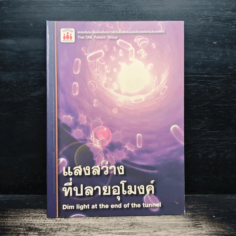 แสงสว่างที่ปลายอุโมงค์ รูปที่ 1
