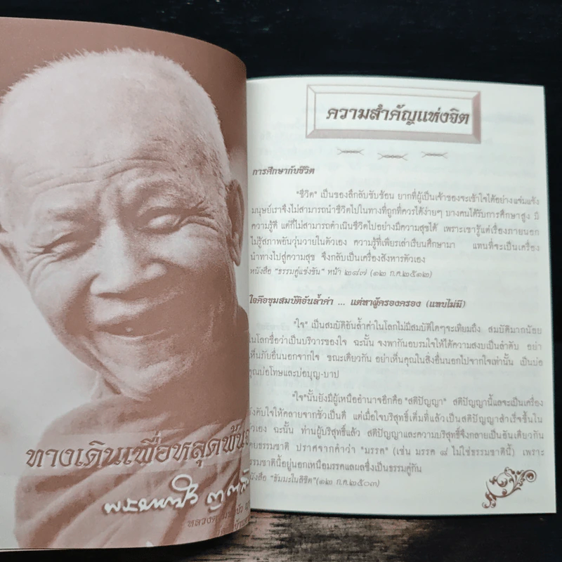 แม่ หน้าที่อันยิ่งใหญ่ รูปที่ 7