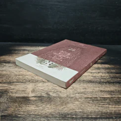หลุมลับ The Hole - Bibll รูปที่ 5