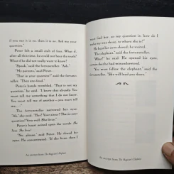 The Miraculous Journey of Edward Tulane - Kate DiCamillo รูปที่ 9