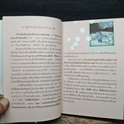 เกาหลีทีเด็ด รูปที่ 8