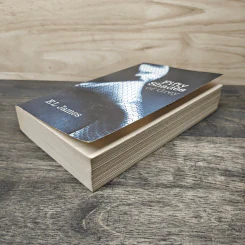 Fifty Shades of Grey I - E L James รูปที่ 3