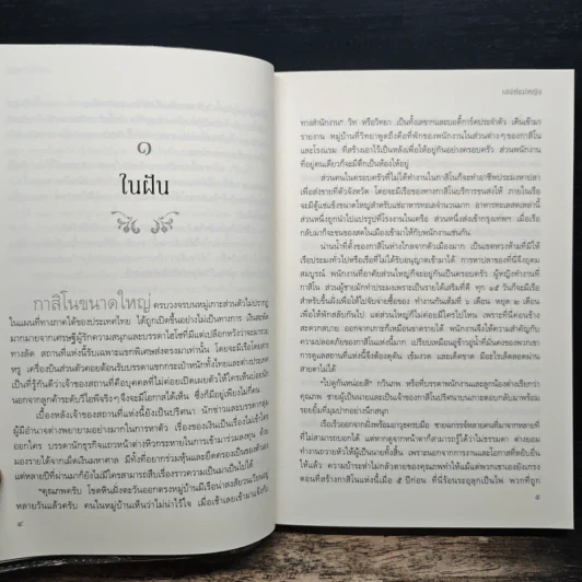 เสน่ห์แม่หญิง - จันทร์ ธันวา รูปที่ 9