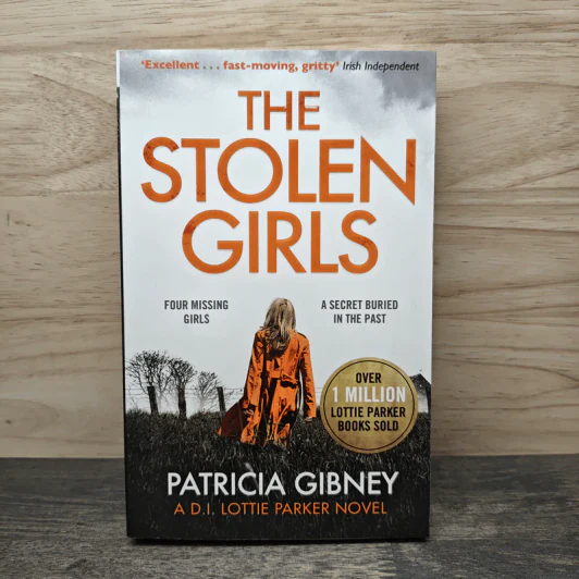 The Stolen Girls - Patricia Gibney รูปที่ 1