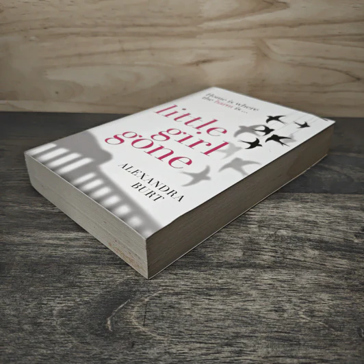 Little Girl Gone - Alexandra Burt รูปที่ 3