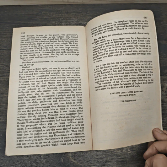 The Once and Future King - T.H. White รูปที่ 8