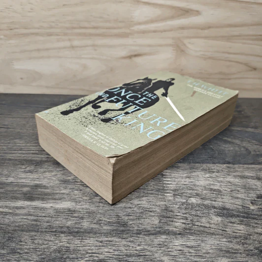 The Once and Future King - T.H. White รูปที่ 3