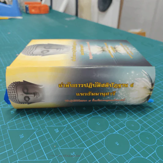 ลำดับการปฏิบัติสติปัฏฐาน 4 แนวธัมมานุสารี - พระภาวนาพิศาลเมธี วิ.(ประเสริฐ มนุตเสวี) รูปที่ 2