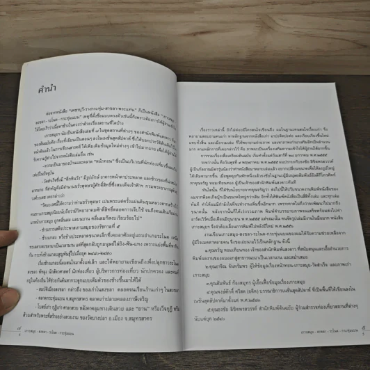 เกาะสมุย-สงขลา-ระโนด-กระทุมแบน รูปที่ 7