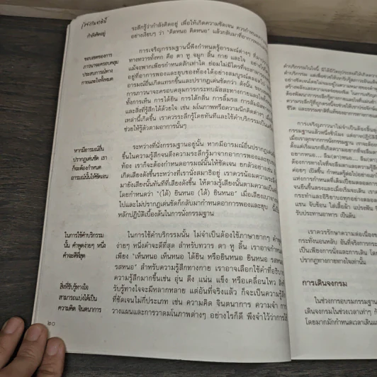 รู้แจ้งในชาตินี้ - พระกัมมัฏฐานาจริยะ อู บัณฑิตาภิวังสะ รูปที่ 7