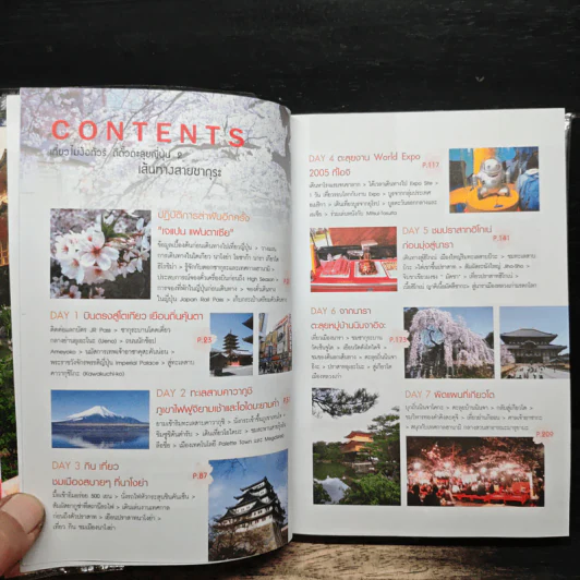 เที่ยวไม่ง้อทัวร์ตีตั๋วตะลุยญี่ปุ่น 2 รูปที่ 7