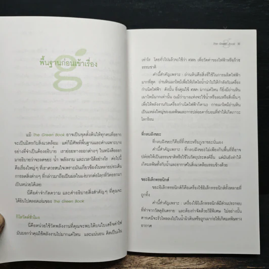 The Green Book - Elizabeth Rogers, โตมร ศุขปรีชา รูปที่ 7