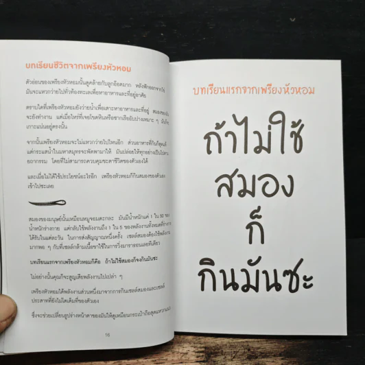 คัมภีร์เล่มเล็กของคนคิดใหญ่ - Richard Newton (ริชาร์ด นิวตัน) รูปที่ 9