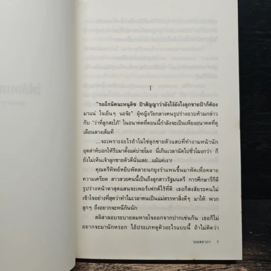 ไฟล้อมตะวัน - มณชยาภา รูปที่ 7