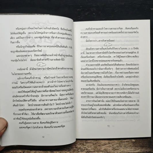 บินแหลกพิเศษ ชุด ตายเย็น - อีแร้ง รูปที่ 9