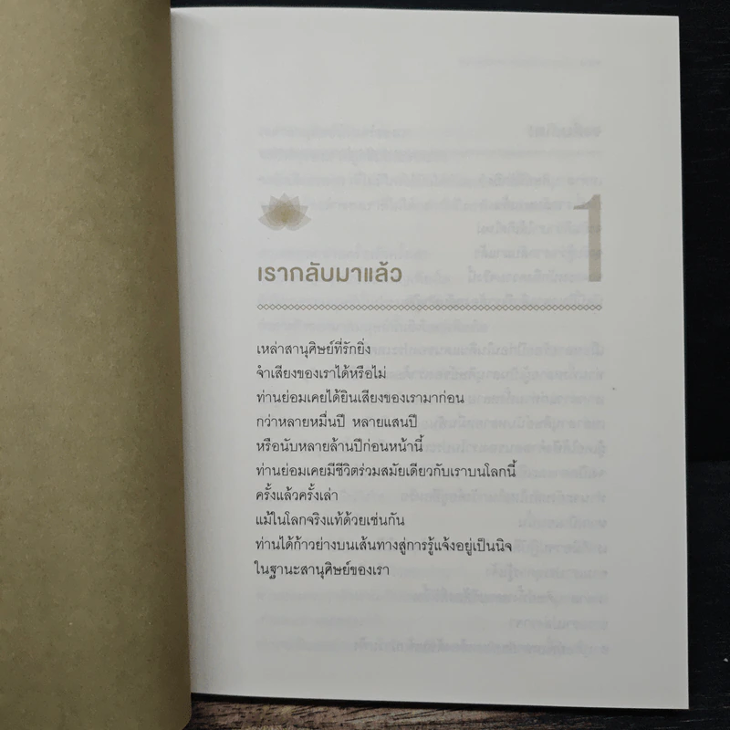 พระพุทธองค์กลับมาแล้ว - ริวโฮ โอคาวา รูปที่ 8