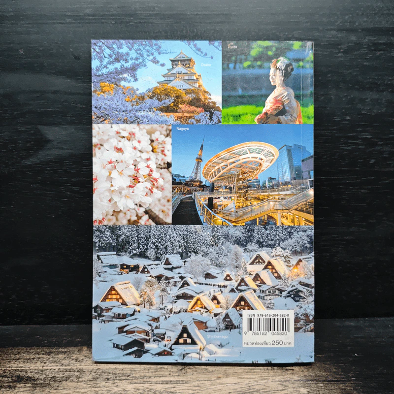 Japan Trip จูบุและคันไซ - อนุพันธุ์ สุขะปิณฑะ, นิธิธาดา สุขะปิณฑะ รูปที่ 2