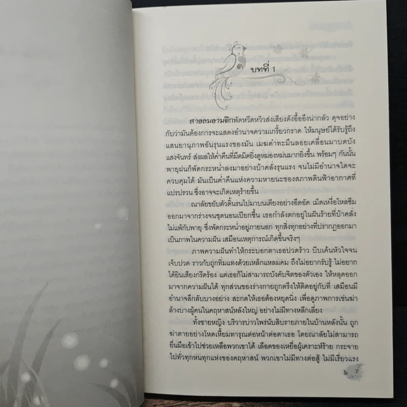 สิเน่หาต่างภพ - ชมพูนุท รูปที่ 7
