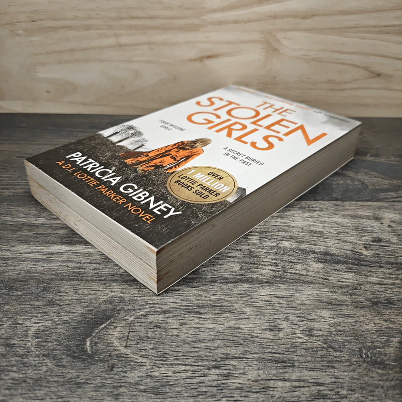 The Stolen Girls - Patricia Gibney รูปที่ 3