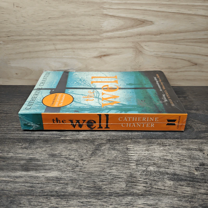 The Well - Catherine Chanter รูปที่ 2
