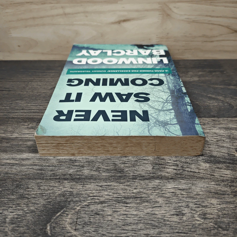 Never Saw It Coming - Linwood Barclay รูปที่ 4