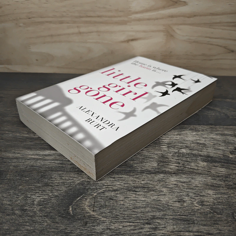 Little Girl Gone - Alexandra Burt รูปที่ 3