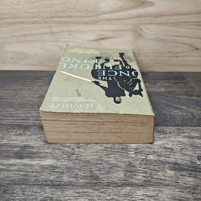 The Once and Future King - T.H. White รูปที่ 4