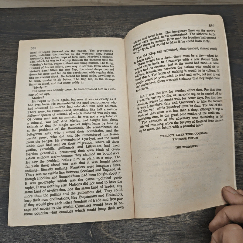 The Once and Future King - T.H. White รูปที่ 8