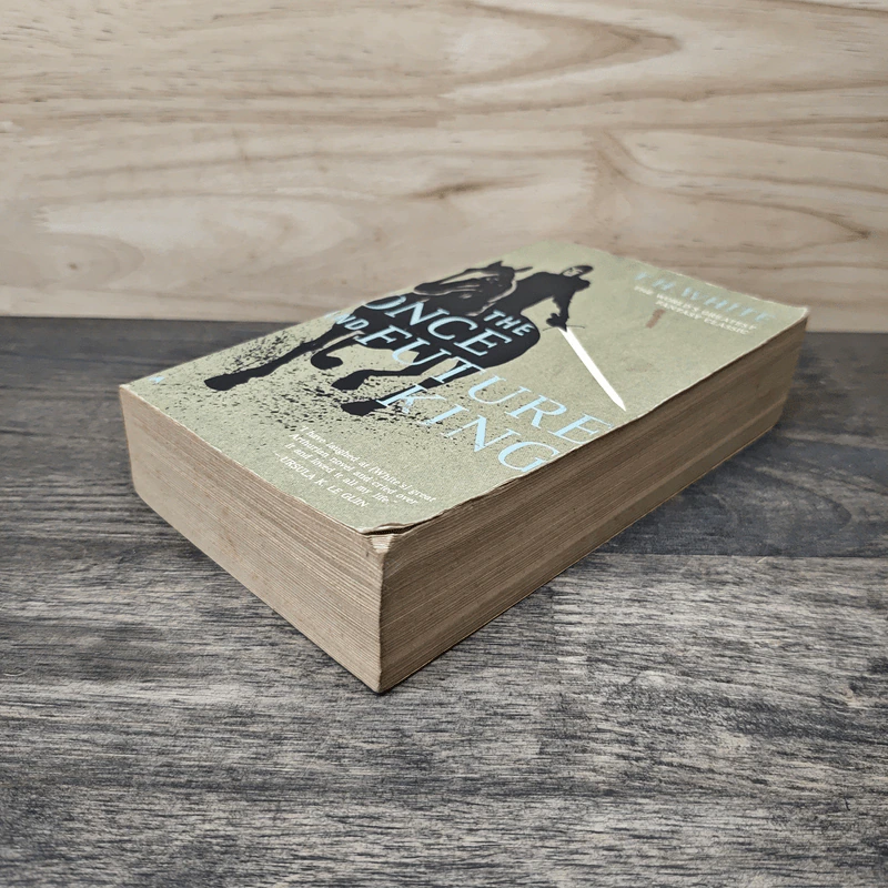 The Once and Future King - T.H. White รูปที่ 3