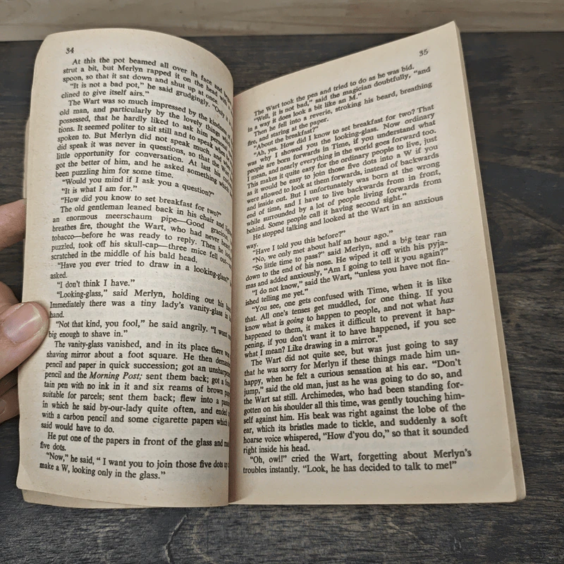 The Once and Future King - T.H. White รูปที่ 7