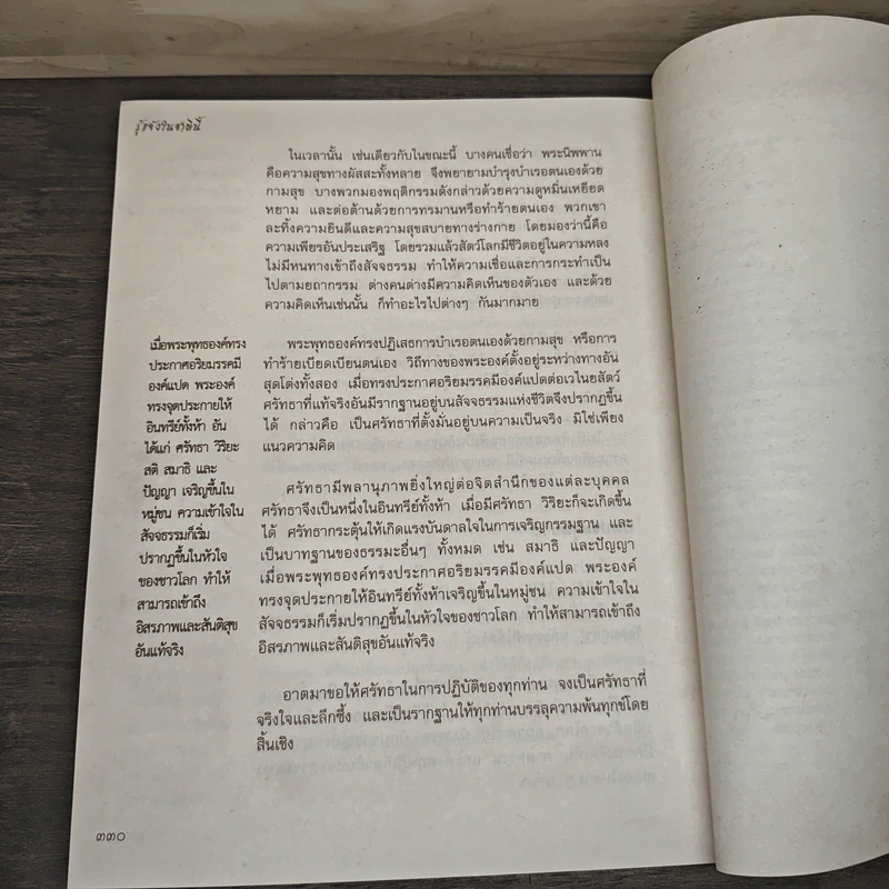 รู้แจ้งในชาตินี้ - พระกัมมัฏฐานาจริยะ อู บัณฑิตาภิวังสะ รูปที่ 9