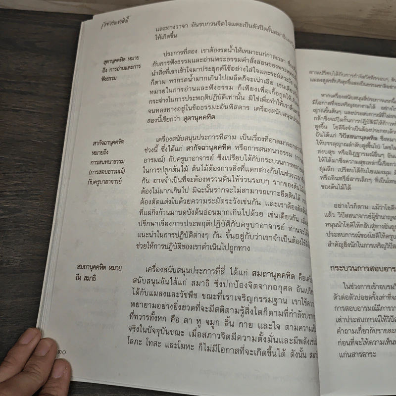 รู้แจ้งในชาตินี้ - พระกัมมัฏฐานาจริยะ อู บัณฑิตาภิวังสะ รูปที่ 7