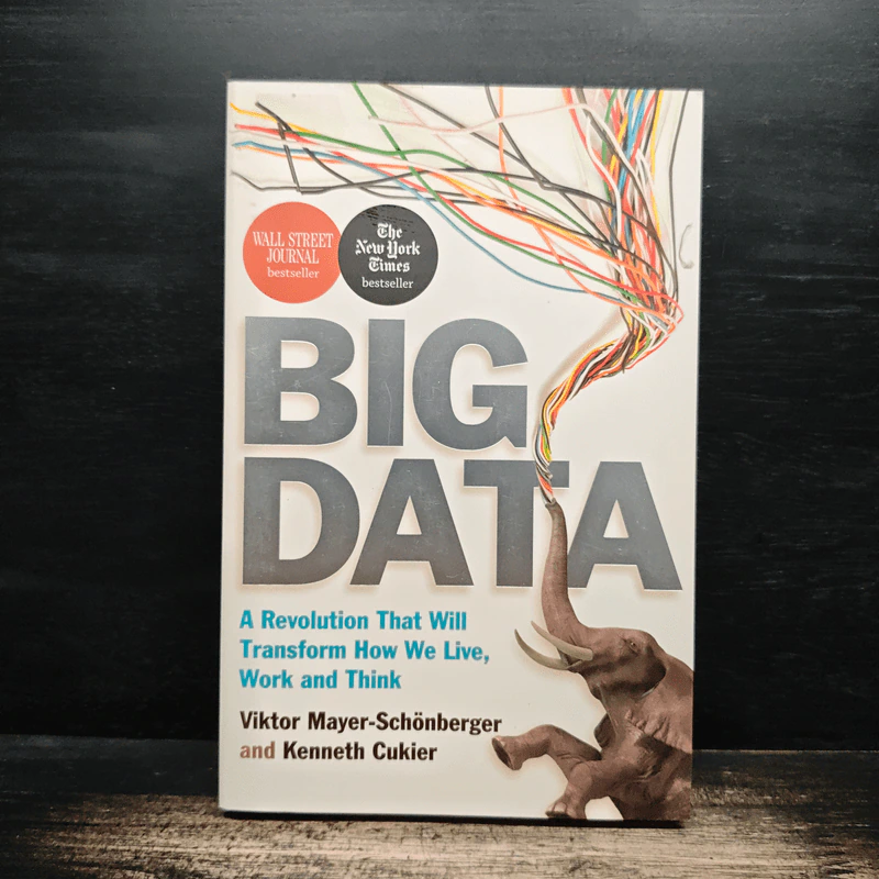 Big Data - Viktor Mayer-Schönberger, Kenneth Cukier รูปที่ 1