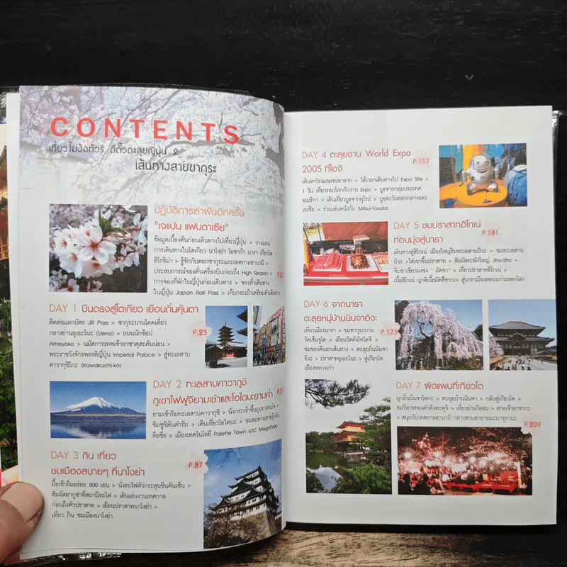 เที่ยวไม่ง้อทัวร์ตีตั๋วตะลุยญี่ปุ่น 2 รูปที่ 7