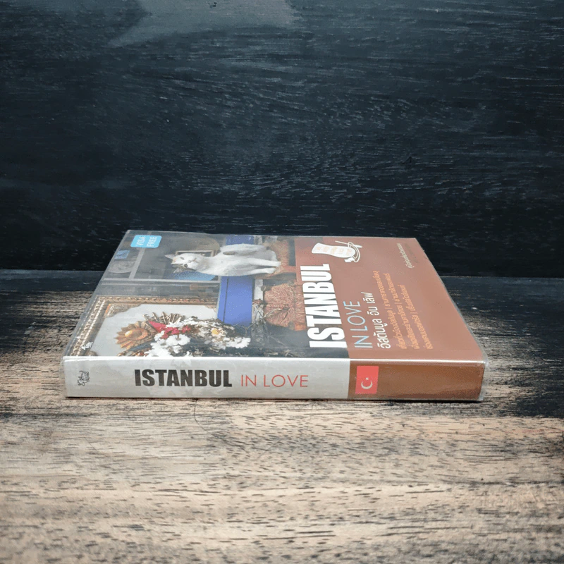 Istanbul In Love อิสตันบูล อิน เลิฟ - สู่ขวัญ อรรถจารุสิทธิ์ รูปที่ 3