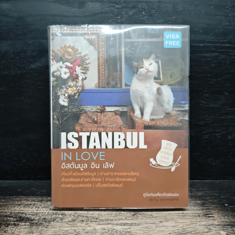 Istanbul In Love อิสตันบูล อิน เลิฟ - สู่ขวัญ อรรถจารุสิทธิ์ รูปที่ 1