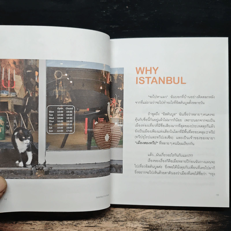 Istanbul In Love อิสตันบูล อิน เลิฟ - สู่ขวัญ อรรถจารุสิทธิ์ รูปที่ 8