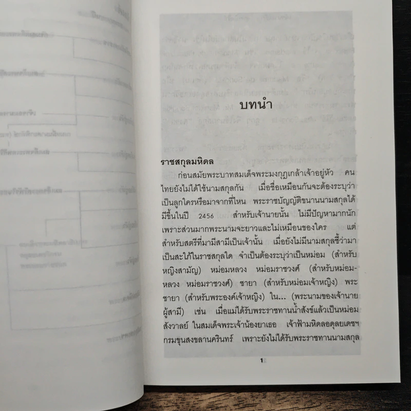 เจ้านายเล็กๆ ยุวกษัตริย์ - กัลยาณิวัฒนา รูปที่ 8