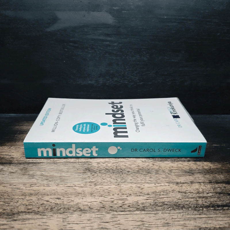 Mindset - Dr Carol S. Dweck รูปที่ 3
