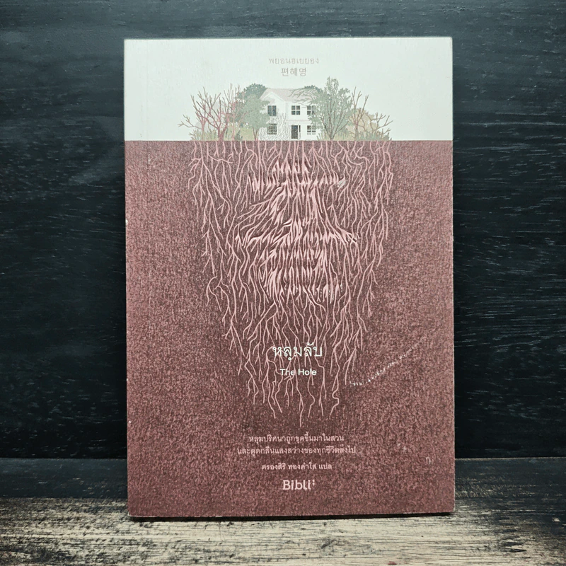 หลุมลับ The Hole - Bibll รูปที่ 1