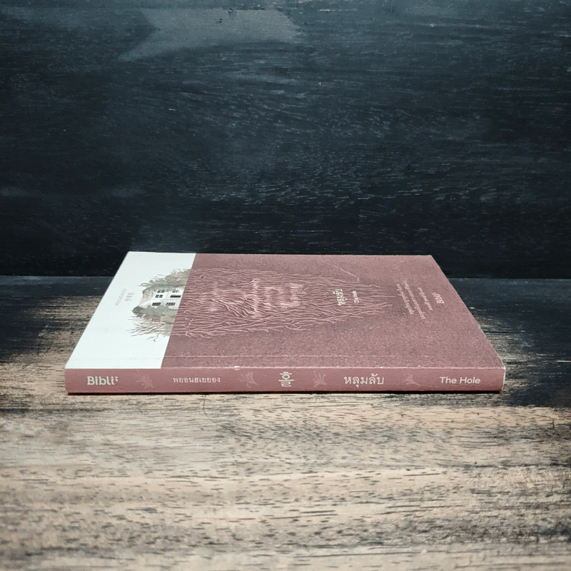 หลุมลับ The Hole - Bibll รูปที่ 3