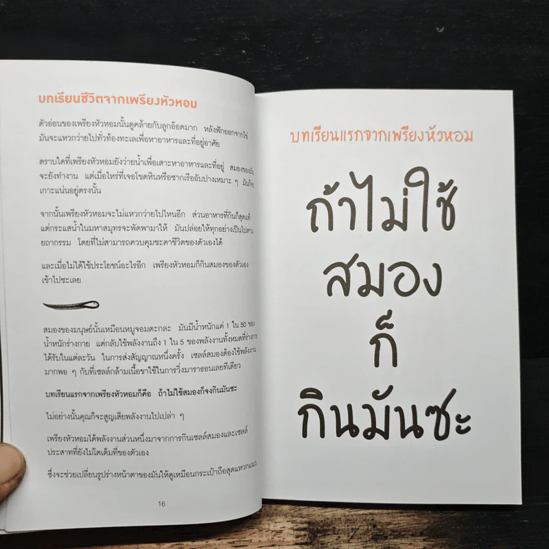 คัมภีร์เล่มเล็กของคนคิดใหญ่ - Richard Newton (ริชาร์ด นิวตัน) รูปที่ 9