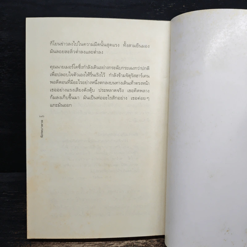 พิภพบาดาล - ณานน์ ดูโปร, แสงตะวัน รูปที่ 9
