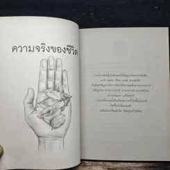 เป็นมิตรกับชีวิต - พระไพศาล วิสาโล รูปที่ 8