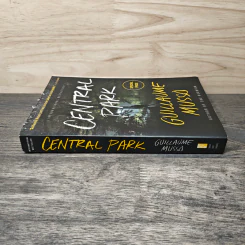 Central Park - Guillaume Musso รูปที่ 2