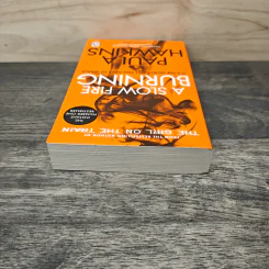 A Slow Fire Burning - Paula Hawkins รูปที่ 4